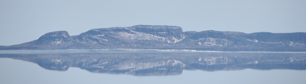 Livin' La Vida Lupie